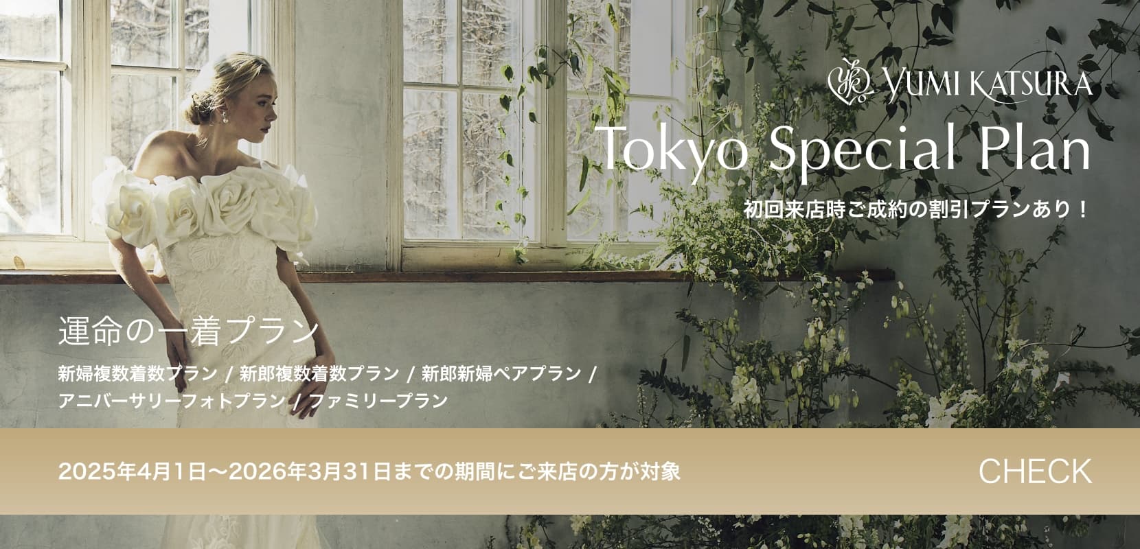 Special Plan banner 1